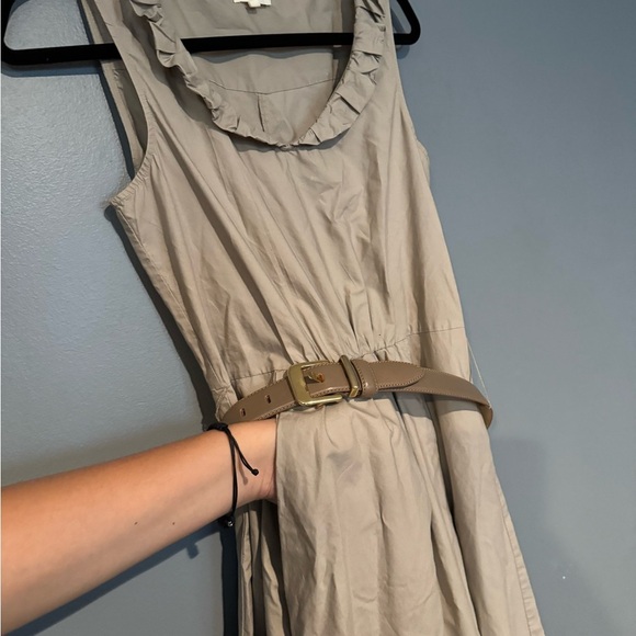 The Limited Tan Ruffle Mini Dress - Picture 7 of 9